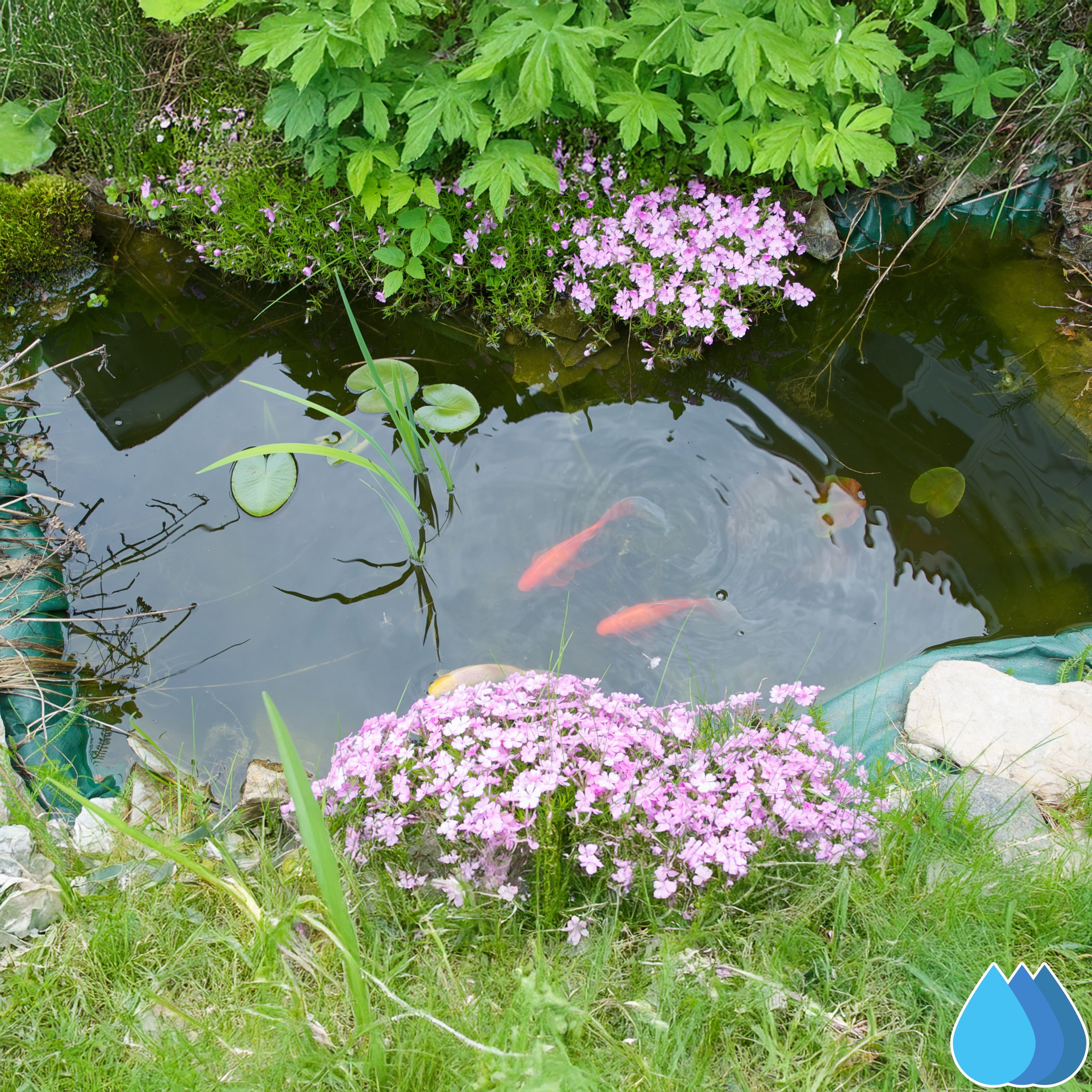 1.5m x 5m Black Pond Liner, L-Grade 200 GSM-1